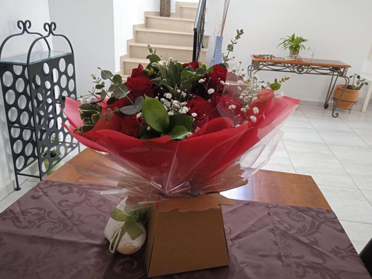 Zenberry House Apartment Mandria  Bagian luar foto